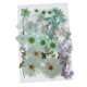 thumbnail image 3 of 36/37/38/39/42 Unid Natural Real Secado Presionado Flores DIY Scrapbook Azul Claro, 3 of 5