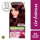 thumbnail image 1 of Coloración Cor Intensa Garnier Cabello 4.6 Castaño Rojizo, 1 of 1