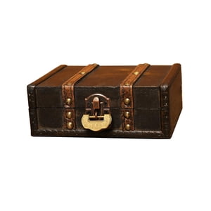 Bothyi - Treasure Box Joyero Contenedor Baratija Organizador Para Aretes Horquillas Estilo B