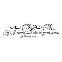 Rienda Libre Graphics - Decomural Justin Bieber Die In Your Arms Lyrics Ws-40832