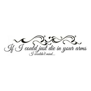 Rienda Libre Graphics - Decomural Justin Bieber Die In Your Arms Lyrics Ws-40832
