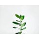 thumbnail image 1 of prueba_variantes_2_Atributos_4, 1 of 2