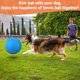 thumbnail image 2 of Pelota QDAN 24 cm para Perros de Razas Grandes y Gigantes – Juguete Interactivo, 2 of 9
