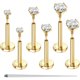 thumbnail image 1 of Aros Flat Back GEMQUEEN de Titanio G23 con Zirconia, 1 of 3