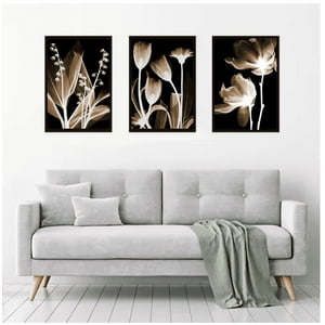 Genérico - Cuadros Decorativos De Flores Pack X 3 Uds 35X50 Cm C/U