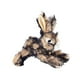 thumbnail image 5 of Juguete Chirriante Para Perros De Peluche, Juguetes Interactivos Cómodos Para Masticar Perros, Gatos, Conejos, 5 of 5