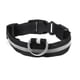 thumbnail image 1 of Collar Con Luz Led Carga Usb Perros Gatos Talla L Negro, 1 of 5