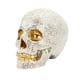 thumbnail image 3 of Decoración De Calavera De Halloween, Cabeza De Esqueleto Gótico Gótico Para Fiesta, Estantería, Jardín, 3 of 5