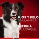 thumbnail image 5 of Alimento Cachorro Carne, 5 of 6