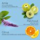 thumbnail image 2 of Body Spray Tesori d'Oriente Ayurveda 100 ml Cítrico Amaderado, 2 of 7