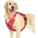 thumbnail image 2 of Arnés reflectante ajustable antitirones para perros pequeños, medianos y grandes, chaleco Oxford acolchado suave con asa de fácil control para entrenamiento de caminata., 2 of 7