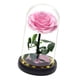 thumbnail image 5 of Ilumine Una Rosa En Una Cúpula De Cristal Regalos Del Día De San Valentín Para Su Flor Rosa, 5 of 5