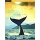 thumbnail image 1 of Moby Dick, 1 of 3