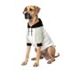 thumbnail image 1 of Sudadera con Capucha para Perro Spark Paws Suave como Mantequilla y Estiramiento 4‑Vías, 1 of 5