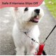 thumbnail image 5 of Collar para Perro Gentle Creatures Mini con Clip de Respaldo de Seguridad 12 cm, 5 of 6
