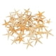 thumbnail image 3 of Conchas De Estrella De Mar Naturales, Exhibición De Boda, Decoración Artesanal Para Acuario, 2-3cm, 50 Uds., 3 of 5