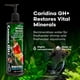 thumbnail image 2 of Suplemento mineral para acuarios Brightwell Aquatics Caridina GH+ 250 ml, 2 of 7
