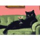 thumbnail image 1 of Kit de Pintura por Números GEMFAMILY Gato Negro 41 × 51 cm, 1 of 7