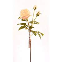 Vadell - Rosa Crema 59 Cm