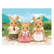 thumbnail image 3 of Familia Canguro Calico critters Sylvanian families, 3 of 3