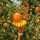 thumbnail image 2 of Recolector De Frutas Truper Con Cojin, Frut, 2 of 5