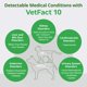 thumbnail image 5 of Tiras reactivas de orina VetFact de 10 parámetros, 5 kits para mascotas, 5 of 7