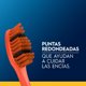 thumbnail image 5 of Pack Familiar Cepillos Dentales Color Collection  (5 Un), 5 of 5