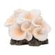 thumbnail image 5 of Adorno De Coral Artificial, Decoración De Pecera Para Balcón, Porche, Patio, Blanco Y Naranja, 5 of 5