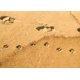 thumbnail image 1 of Tarjeta de simpatía Glory To Dog - Huella de perro en arena, 1 of 6