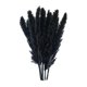 thumbnail image 5 of 15x Hierba De Pampas Seca Phragmites Reed Flower Bunch Home Wedding Decor Gift Negro, 5 of 5