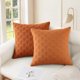 thumbnail image 2 of REGALWOVEN Paquete de 2 fundas de cojín decorativas de terciopelo sólido con textura de escamas modernas para sofá, dormitorio, coche, naranja 18" x 18", 2 of 6
