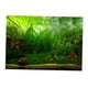 thumbnail image 3 of Cartel Del Fondo Del Acuario Del PVC, Prenda Impermeable 61x30cm Del Paisaje De Las Plantas Del Acuario De Peces, 3 of 5