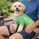 thumbnail image 5 of Playera para perro Pet Life Active Warf-Speed ultraelástica, 5 of 9