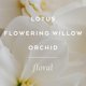 thumbnail image 4 of Crema de manos LOLLIA Imagine Flowering Willow & Lotus 120ml, 4 of 6