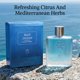 thumbnail image 2 of Colonia STELLARIA Blue Ocean 100 ml Cítrica Aromática, 2 of 8