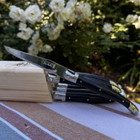 Bloque 6 Cuchillos Negro Laguiole Jean Dubost