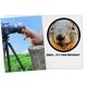 thumbnail image 2 of Tarjeta de cumpleaños divertida para ella, él, amiga, compañero de trabajo, hermana o cualquier persona que adore fotos de animales graciosos, 2 of 5