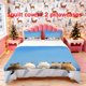 thumbnail image 1 of Five Cats Sitting in a Row And Looking Into The Distance Themed Printed Bedding Set 3pcs Including Duvet Cover And Pillowcases, 1 of 5