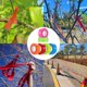 thumbnail image 4 of Cinta adhesiva Hubaow, colores surtidos, 1,2 cm x 183 m, paquete de 6, 4 of 6