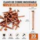 thumbnail image 1 of Clavo De Cobre Inoxidable 1 1/2 (4cm) Redondo 20un, 1 of 6