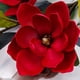thumbnail image 4 of Ramo de 2 magnolias artificiales de 3 cabezas, de seda roja con tallos, para el hogar, la oficina, la sala de estar, la boda, la habitación de la novia, el jarrón de suelo, 92 cm 36,2 pulgadas (210519, 4 of 7