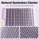 thumbnail image 4 of Extensión de pestañas Eyelash Clusters B&Waugen Fairy Lash, 144 unidades, 4 of 7
