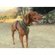 thumbnail image 3 of Nuevo Arnés Mascotas Oceano M Dog republic, 3 of 3