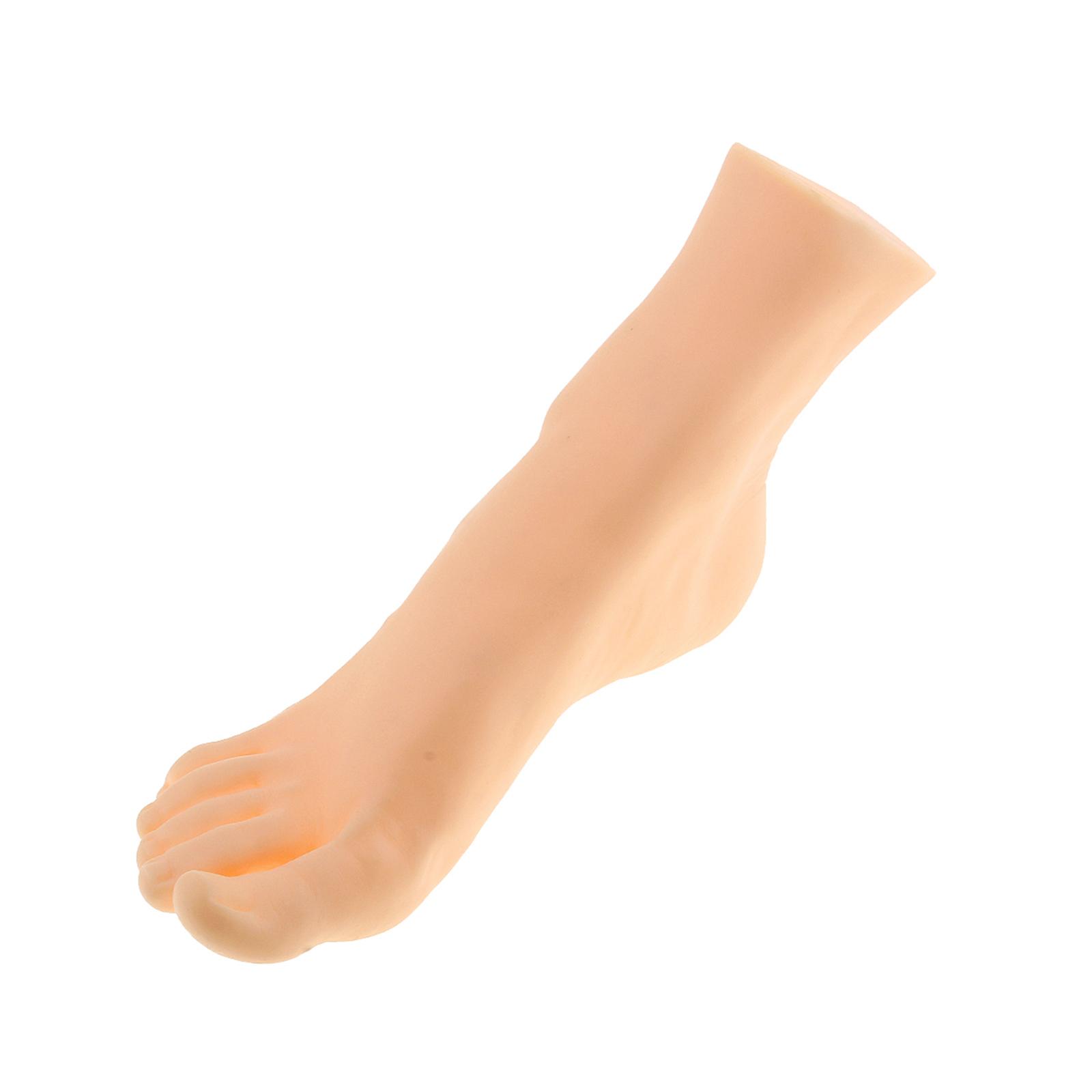 Ioensy - Modelo De Pie Maniquí Soporte De Pie Exhibición De Calcetín De Pie Para Fotografía Prop Masculino Derecho