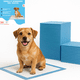 thumbnail image 1 of 50 Pañales Sabanillas Entrenamiento Absorbentes Mascota Perros 60x45cm, 1 of 7