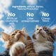 thumbnail image 4 of Arena para Gatos Boxiecat 5 kg Control de Olores 35+ Días, 4 of 5