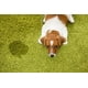 thumbnail image 4 of Repelente Perros Y Gatos - Pet Out Spray 160 Ml, 4 of 4