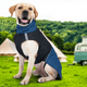 thumbnail image 5 of Abrigo reflectante impermeable de invierno para perros, chaqueta cálida y resistente al viento con forro polar, chaleco deportivo ligero para mascotas., 5 of 7
