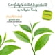 thumbnail image 3 of Tea Bigelow Classic Té verde descafeinado, 120 bolsitas de té (paquete de 6), 3 of 6