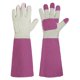 thumbnail image 1 of Guantes largos de jardinería, cuero espina prueba rosa poda guante para hombres y mujeres, gran regalo para jardinero (blanco/rosa rojo M par), 1 of 3